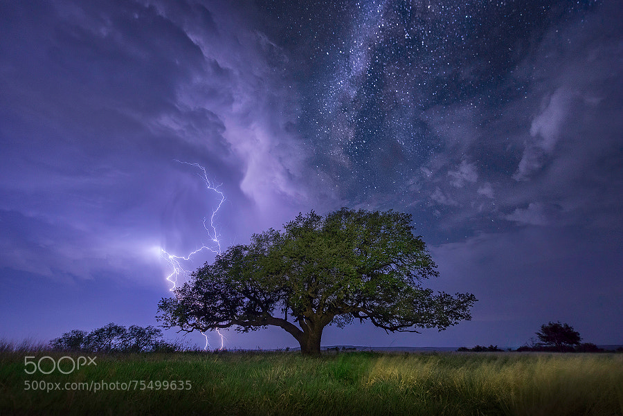 Texas Milky Way